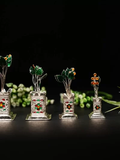 Silver Tulsi Tree (Big & Small Sizes)